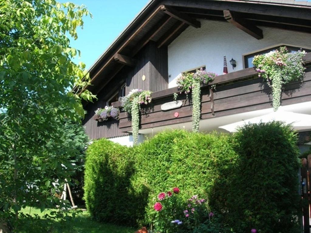Harzhaus Rauch Apartment Braunlage Room photo